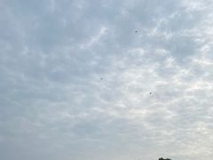 -阳澄湖半岛旅游度假区