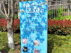 -高东镇樱花园