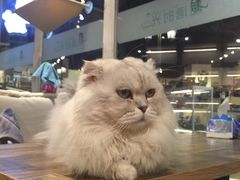 -小时光咖啡馆(开森度假森林店)