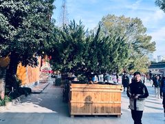 -龙华素斋(龙华路店)