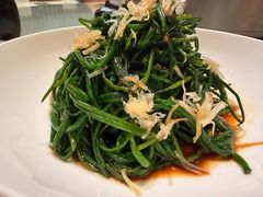 -金鼎轩(方庄天坛店)