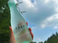 -黄海国家森林公园