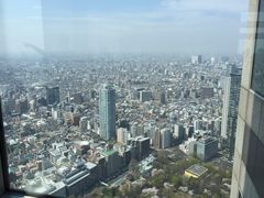 -东京都厅舍