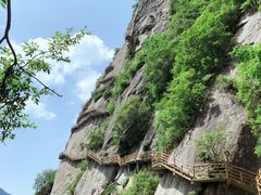 -陕西省红河谷森林公园