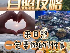 -日照海滨国家森林公园