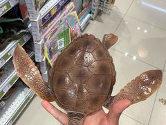-TOYSRUS玩具反斗城(苏州中心店)