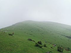 -大姆山草场