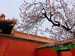 -故宫博物院(故宫)