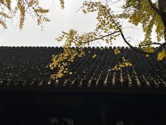 -拙政园