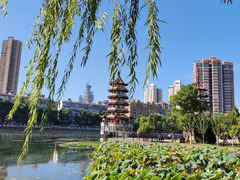 -宝岛公园