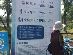 -田园东方蜜桃村的田野营地