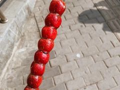 -和禄德冰糖葫芦