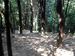 android_upload_pic-火炉山森林公园