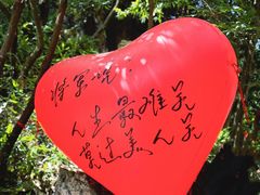 -将军关探险漂流