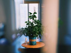 -浙江西子宾馆·瑶园咖啡厅