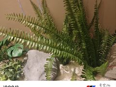 -蜀厨小匠·民间川菜(犀浦店)