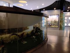 -下渚湖国家湿地公园科普馆