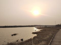 -西青郊野公园