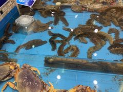 -双井轩(双井店)