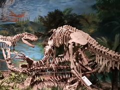 -自贡恐龙博物馆