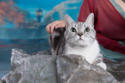 -盘子女人坊古装写真摄影(天津总店)