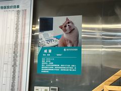 -伟伟宠物医院·CT影像中心·瑞派犬猫综合性门诊(汉口总院)