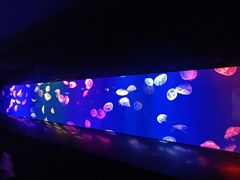 -成都浩海立方海洋公园