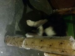-恐怖游戏(湖滨店)