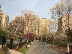 -丰台花园