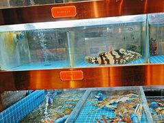 -ONE FULL 古董港式海鲜火锅