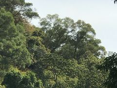 -云洞岩风景区