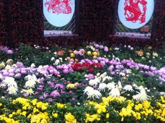 iphone_upload_pic-迎泽公园