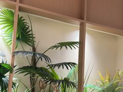 -好彩猪肚鸡(正弘城店)