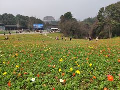 -保利石象湖景区