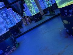 -四季轩中餐厅(徐州开元名都大酒店)