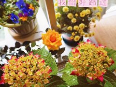 -双季花艺园艺市场(浦东店)