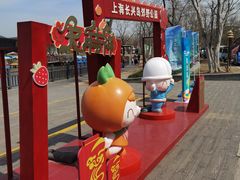 -上海长兴岛郊野公园