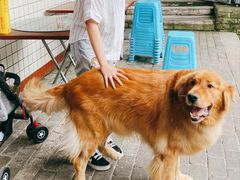 -笑红饭庄