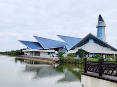 -盐城丹顶鹤湿地生态旅游区