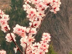 -白水寺森林公园