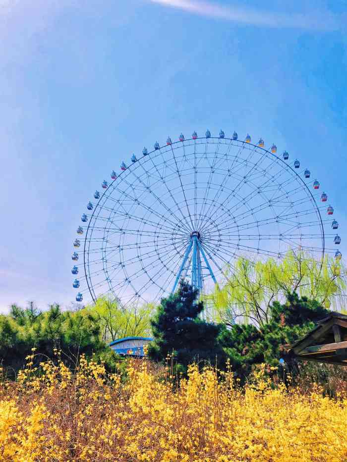 小河沿万泉公园游乐场