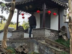 -梅园