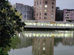 -鱼珠码头(轮渡站)