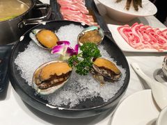 鲜活小鲍鱼-新一哥粤菜火锅(瑞金店)