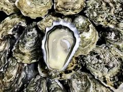-原志优秀食材·匠心料理·海胆主题(金亿广场店)