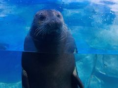 -多彩贵州城极地海洋世界