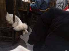 -肖肖酸萝卜鱼火锅(总店)