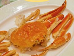 -翠园(北京王府中环店)