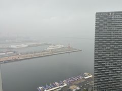 -富力希尔顿酒店·地阔自助餐厅