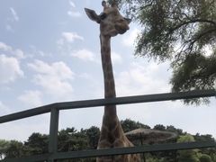 -沈阳森林动物园